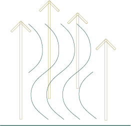 ilustración compuesta de flechas y líneas describiendo la pérdida progresiva de cabello